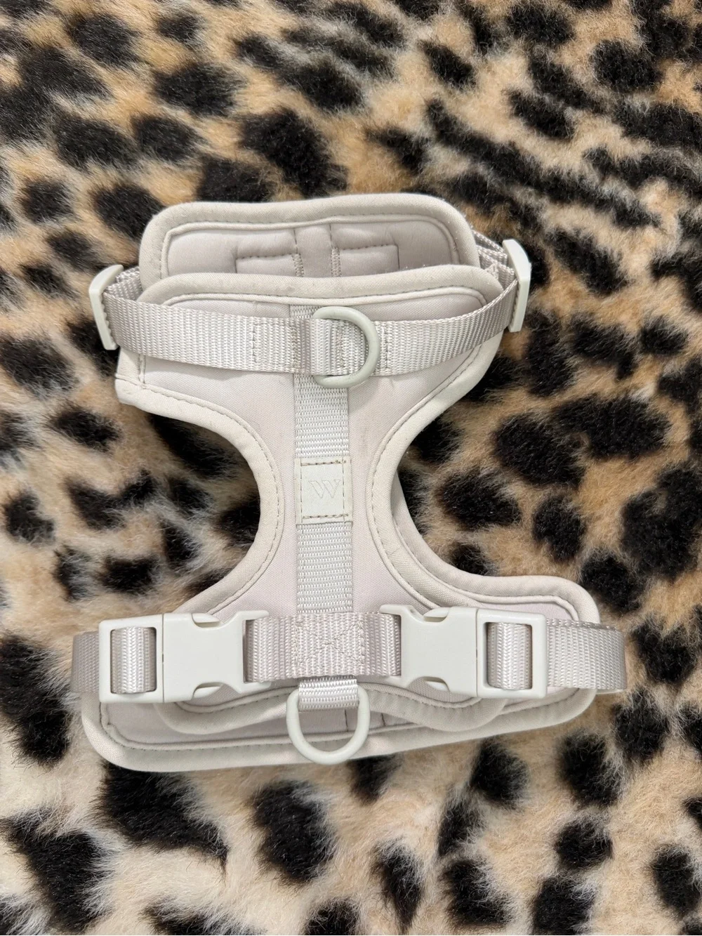 Wild One Cushioned Dog Harness